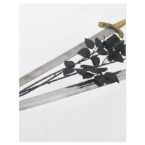 SwordsBlackRoses061209