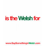 SWS t-shirts