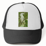 Sydney Cockatoo hats