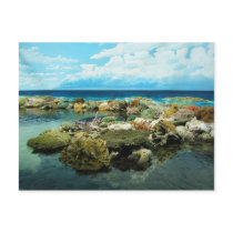 Sydney Great Barrier Reef Post Cards