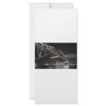 Sydney Harbour Bridge rack cards