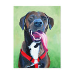 Sydney - Lab Boxer Mix Puppy Postcard