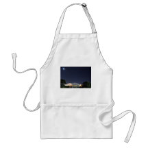 Sydney Night by Moonlight at Vivid Festival 2010 Aprons