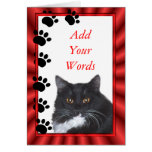 Sylvester card-customise