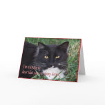 Sylvester-Get Well-customise cards