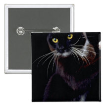 Sylvester Pins
