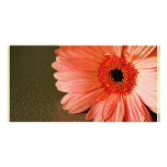 symmetry photo cards