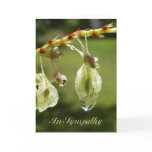 Sympathy 107 cards