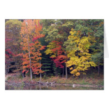 Sympathy -  Autumn trees and lake Card