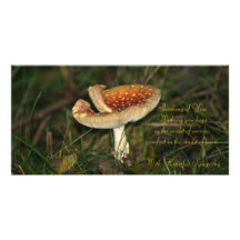 Sympathy card foto kaart