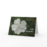 Sympathy  Greeting Card
