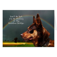 Sympathy - Loss of Pet Dog Card