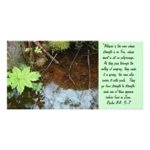 Sympathy Picture Card