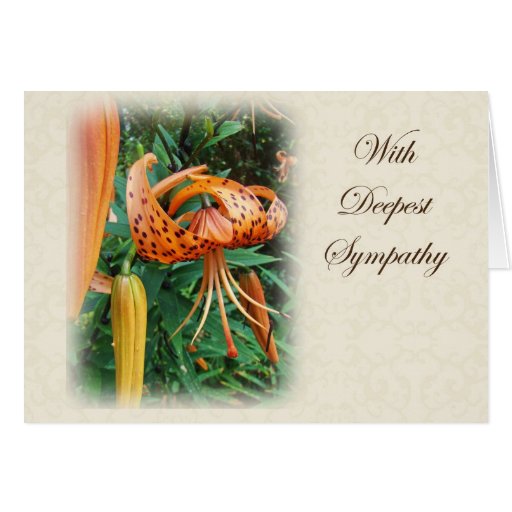 Sympathy - Turk's Cap Lily Wildflower Greeting Cards