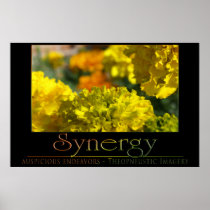 Synergy Print