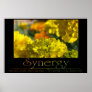 Synergy Print