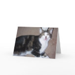 Syrus Greeting Card 001