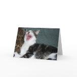 Syrus Laughing Greeting Card