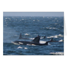 T00's Greeting Card