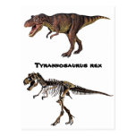 T-rex Flesh-n-Bone,Postcard