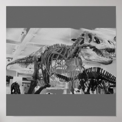 T-Rex Skeleton B+W Print
