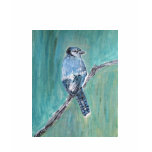T-Shirt - Blue Jay Bird Art