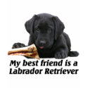 T-Shirt "Labrador Retriever"