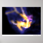 T-Sol Print