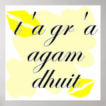 t'a gr'a agam dhuit - Irish I love you posters