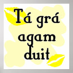Tá grá agam duit - Irish Gaelic I love you posters