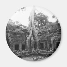 Ta Prohm Fridge Magnet