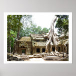 ta prohm tree border poster