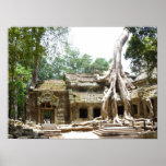 ta prohm tree posters