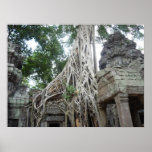 ta prohm tree roots print
