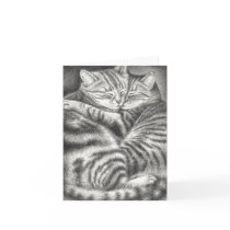 TABBY CAT AFFECTION GREETING CARDS