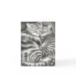 TABBY CAT AFFECTION cards