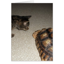 Tabby Cat and Sulcata Tortoise Greeting Card