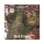 TABBY CAT Best Friend Magnets