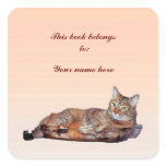 Tabby Cat Bookplate stickers