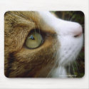 Tabby Cat Close Up Mousepad