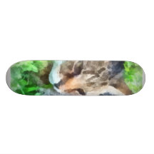 Tabby Cat Closeup Skate Board Decks