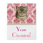 Tabby cat flyers