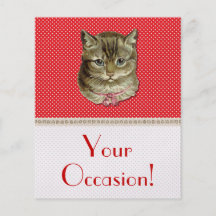 Tabby cat flyer