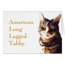 Tabby Cat Greeting card