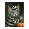 Tabby Cat Halloween Prisoner Postcard
