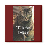 Tabby Cat Magnet Maroon background