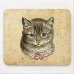 Tabby cat mousepads