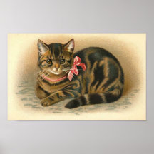 "Tabby Cat" Posters