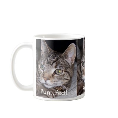 Tabby Cat Purr...fect Coffee Mug by biglnet
