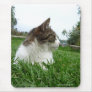 Tabby Cat Relaxing in the Grass Mousepad